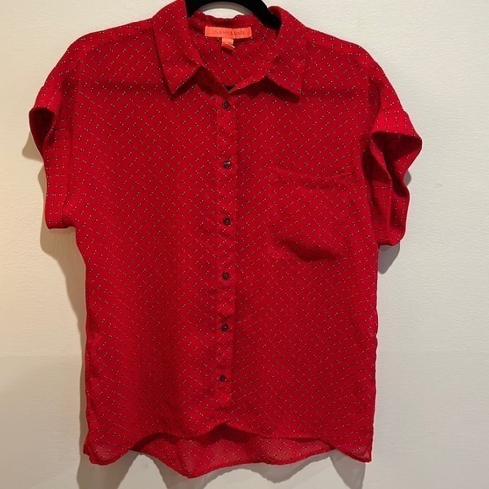 Mango Sheer button up blouse